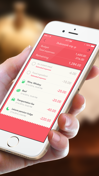 MiniBudget - Budget management screenshot 5