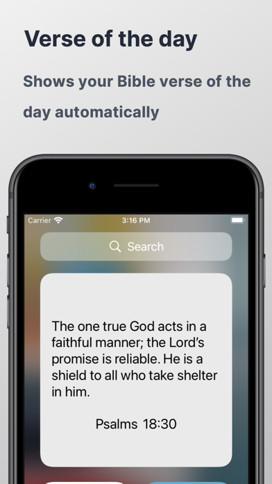 Minimal Bible Widget screenshot 2