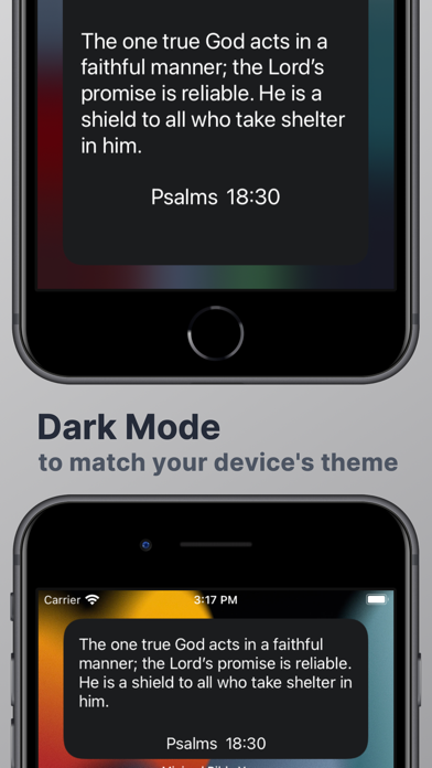 Minimal Bible Widget screenshot 1