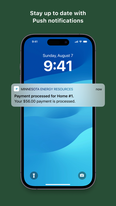 Minnesota Energy Resources screenshot 1