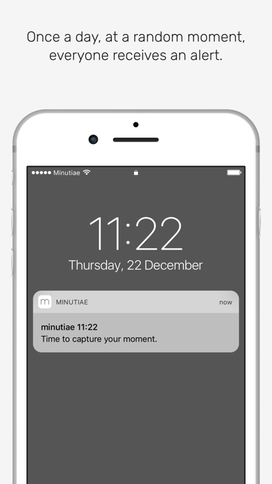 minutiae: Real Life screenshot 5