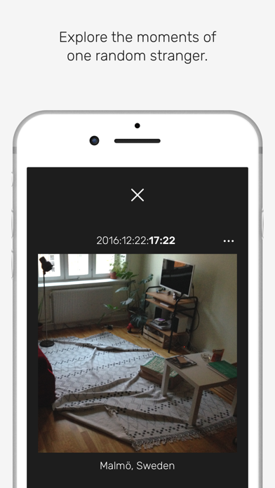 minutiae: Real Life screenshot 3