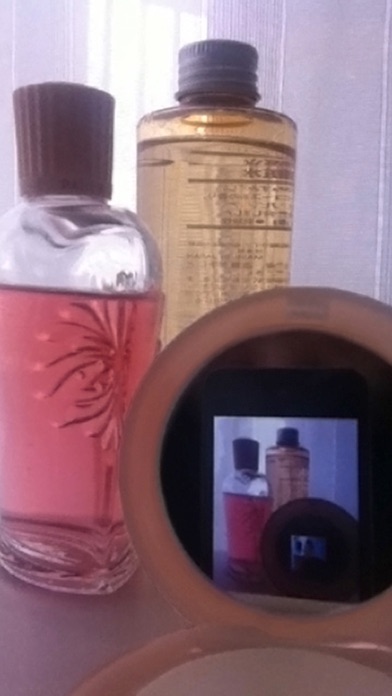 Mirror, The Simplest Mirror App screenshot 2