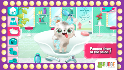Miss Hollywood – Fashion Pets screenshot 3