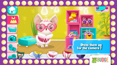 Miss Hollywood – Fashion Pets screenshot 4