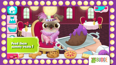 Miss Hollywood – Fashion Pets screenshot 2