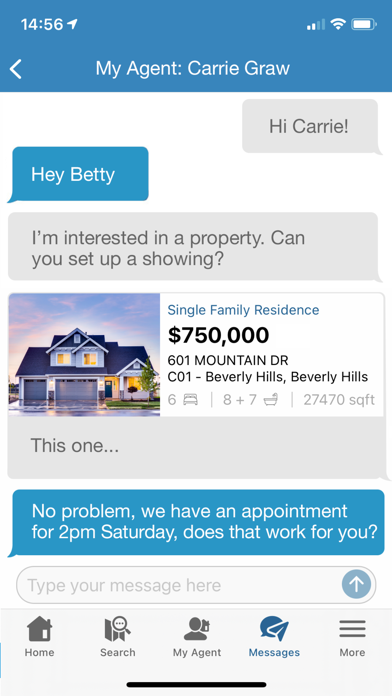 MLS-Client screenshot 1