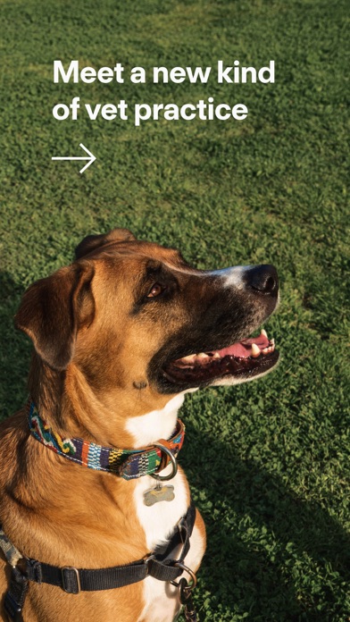Modern Animal screenshot 9