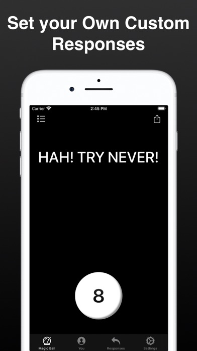 Modern Magic Ball screenshot 3