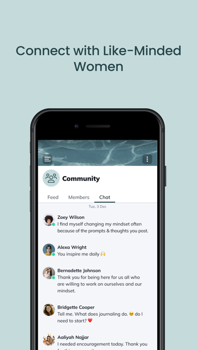 MOMSET Community screenshot 2