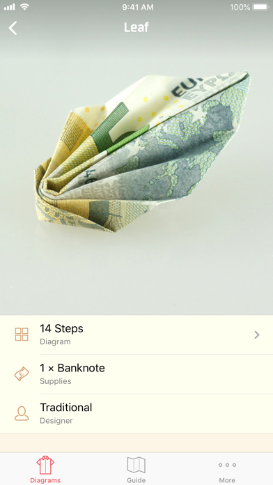 Money Origami Gifts Made Easy screenshot 1
