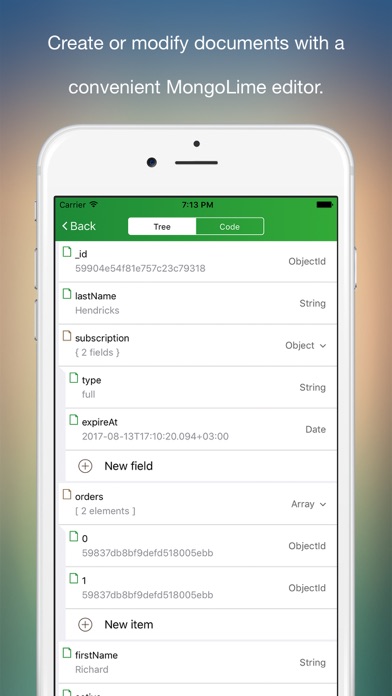 MongoLime - manage databases screenshot 2