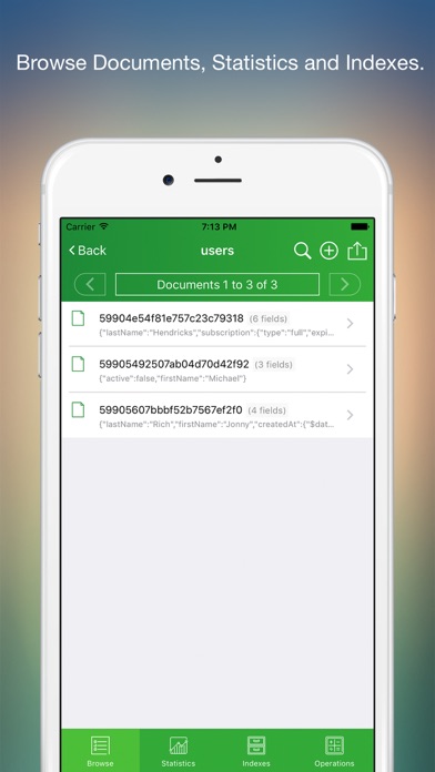 MongoLime - manage databases screenshot 3
