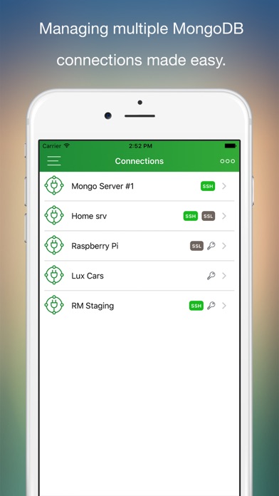 MongoLime - manage databases screenshot 5