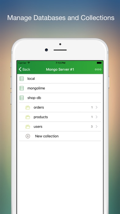 MongoLime - manage databases screenshot 4