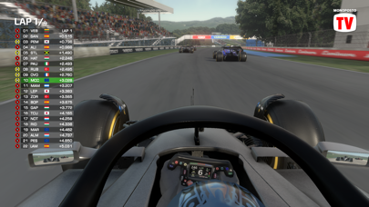 Monoposto Lite screenshot 2