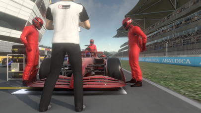 Monoposto screenshot 2