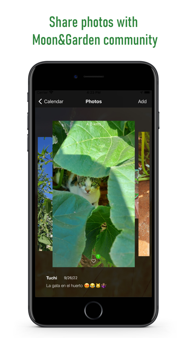 Moon & Garden screenshot 1