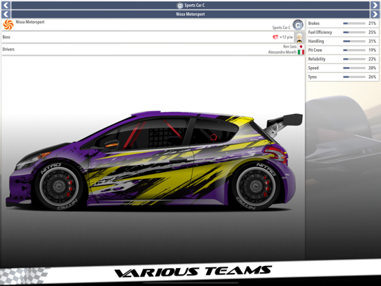 Motorsport Superstar screenshot 3