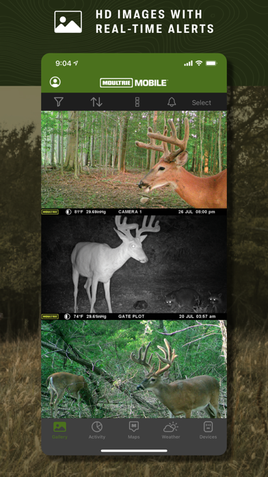 Moultrie screenshot 7