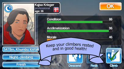 Mount Everest Story screenshot 4