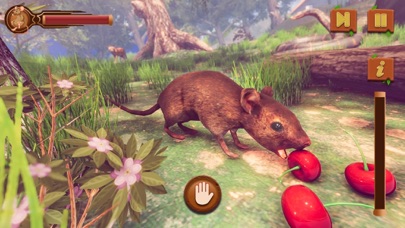 Mouse Simulator- Family Life screenshot 5