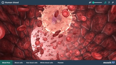 mozaik3D - Explore & Learn screenshot 2