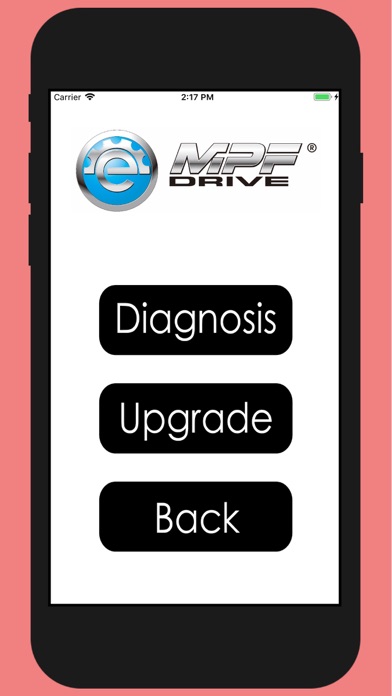 MPF System Check screenshot 3