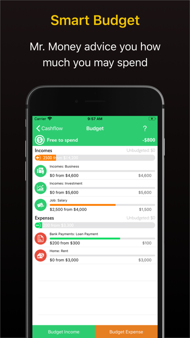 Mr. Money - Finance Manager screenshot 4