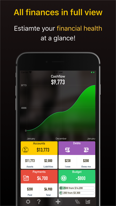 Mr. Money - Finance Manager screenshot 5
