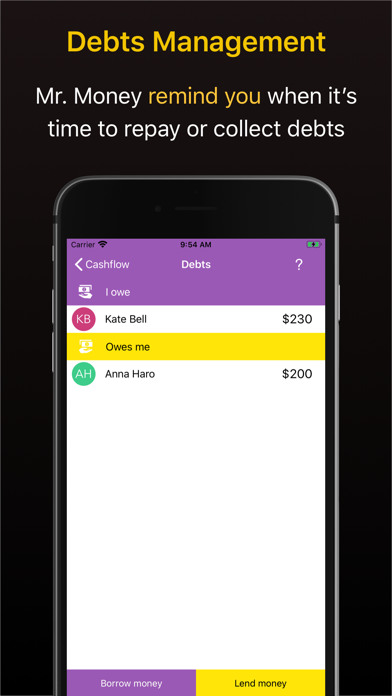 Mr. Money - Finance Manager screenshot 2
