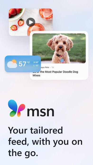 MSN screenshot 5