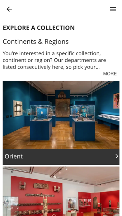 Museum Five Continents screenshot 2