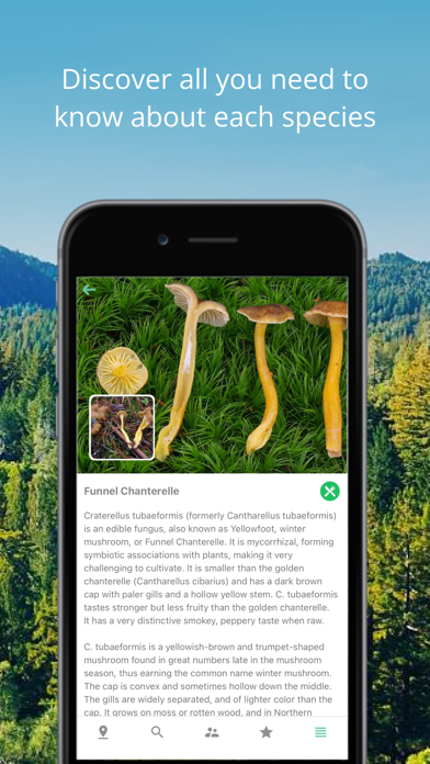 Mushroom Identificator screenshot 5