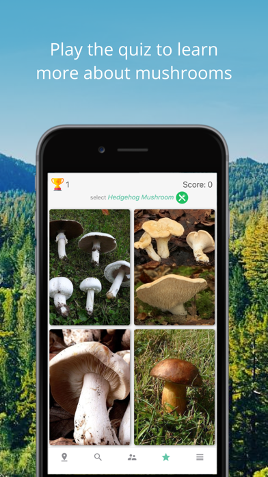 Mushroom Identificator screenshot 4