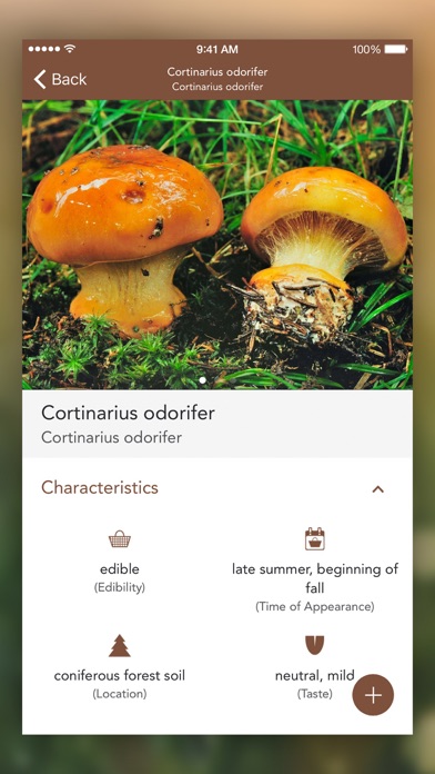 Mushrooms LITE - Field Guide screenshot 3
