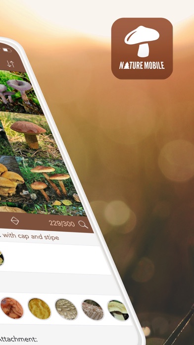 Mushrooms LITE - Field Guide screenshot 5