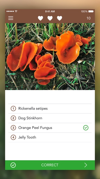 Mushrooms LITE - Field Guide screenshot 2