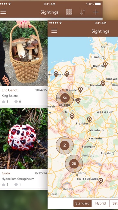 Mushrooms LITE - Field Guide screenshot 1