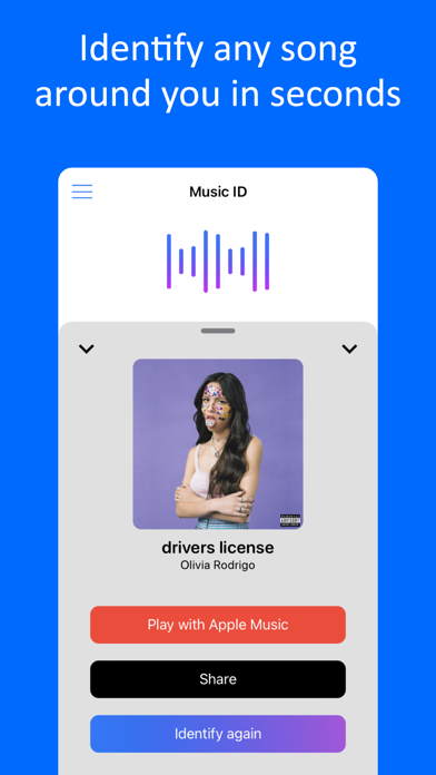 Music Identifier ‣ Find Songs screenshot 3