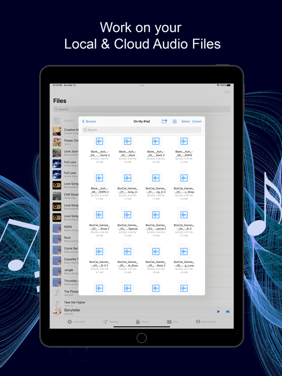 Music Speed Changer ▶▶▶ screenshot 2
