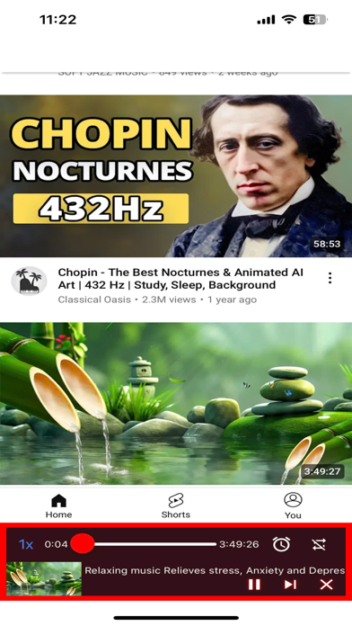 MusicTube - Listen to videos screenshot 2