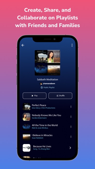 MusicVerse screenshot 9