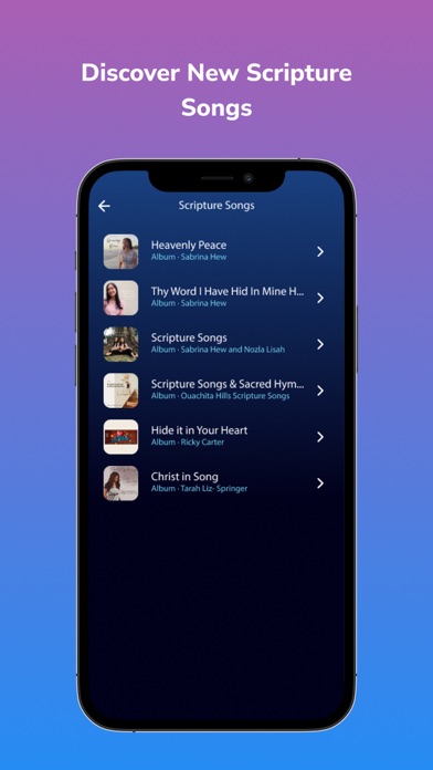 MusicVerse screenshot 8