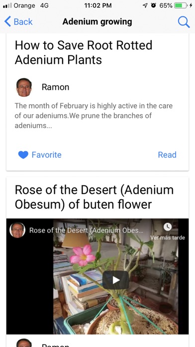 My Adeniums - Adenium care screenshot 1