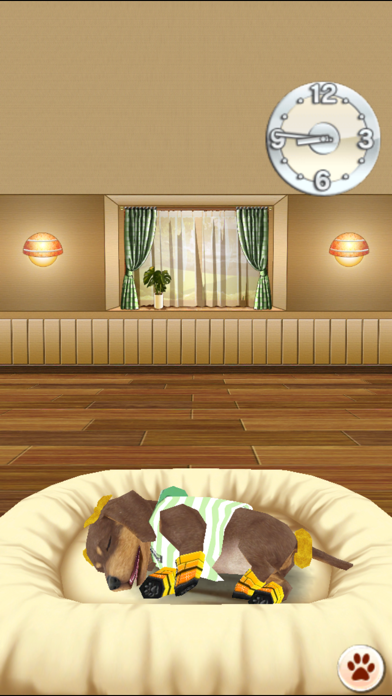 My Dog My Room screenshot 3