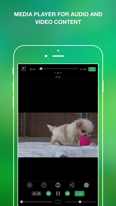 My File Organizer screenshot 2