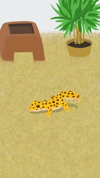 My Gecko -Virtual Pet Game- screenshot 3