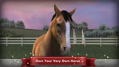 My Horse screenshot 5
