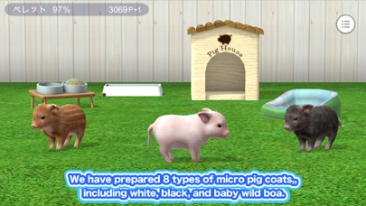 My micro pig screenshot 4